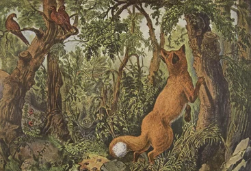 La volpe perplessa, pub. 1872, Currier & Ives